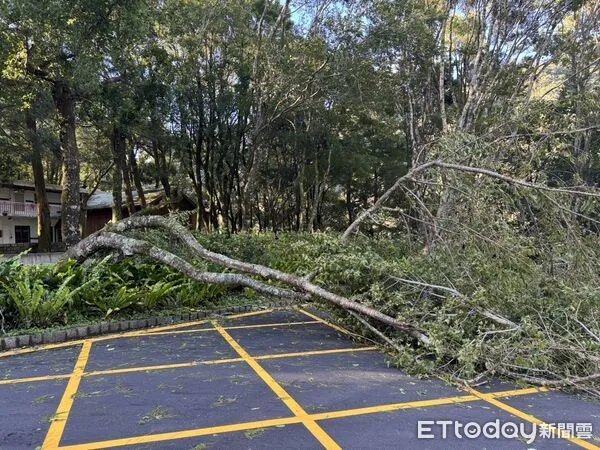 ▲奧萬大森林遊樂區將於8月15日恢復開園。（圖／林業保育屬南投分署提供，下同）