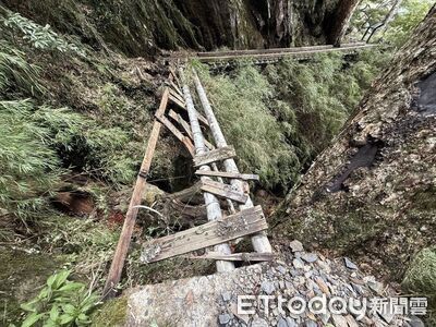 楊柳橫掃過境！玉山步道多處倒木、斷橋　持續封閉