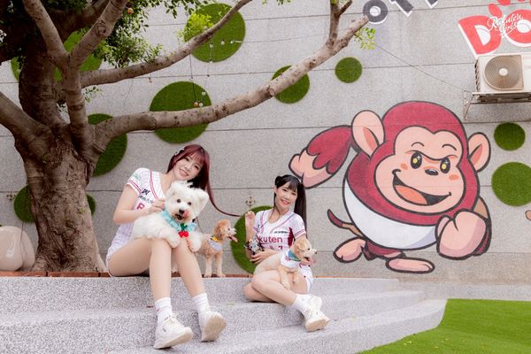▲ 全台首創！樂天桃猿打造「棒球場寵物樂園」8/16起正式開賣。（圖／樂天桃猿提供）