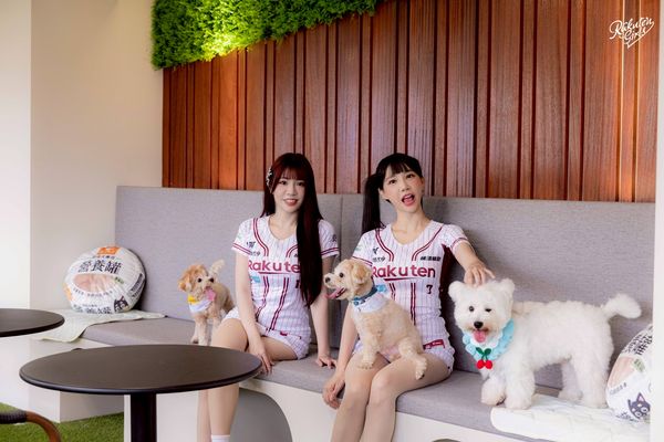 ▲ 全台首創！樂天桃猿打造「棒球場寵物樂園」8/16起正式開賣。（圖／樂天桃猿提供）