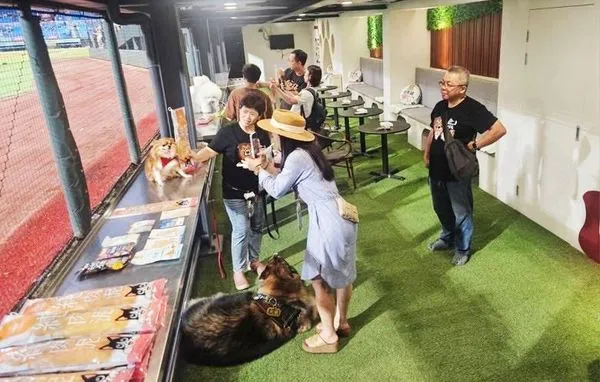 ▲桃園市動保處與中職樂天桃園合作打造全台首創「棒球場寵物樂園」，今天搶先開箱。（圖／市府動保處提供）