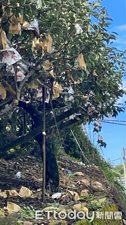 ▲▼             。（圖／記者李陳信得攝）