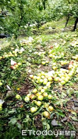 ▲▼             。（圖／記者李陳信得攝）