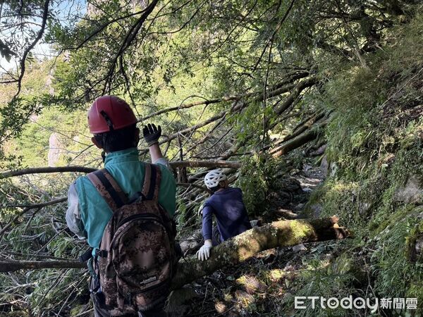 ▲楊柳颱風過境導致玉山線步道多處出現倒木阻隔通行，約5.5公里處的溪溝棧橋更遭落石擊中毀損，將暫時持續封閉。（圖／記者高堂堯翻攝）