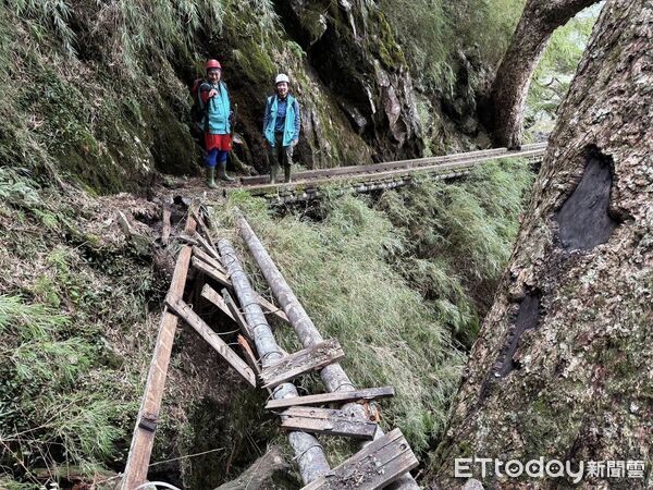 ▲楊柳颱風過境導致玉山線步道多處出現倒木阻隔通行，約5.5公里處的溪溝棧橋更遭落石擊中毀損，將暫時持續封閉。（圖／記者高堂堯翻攝）