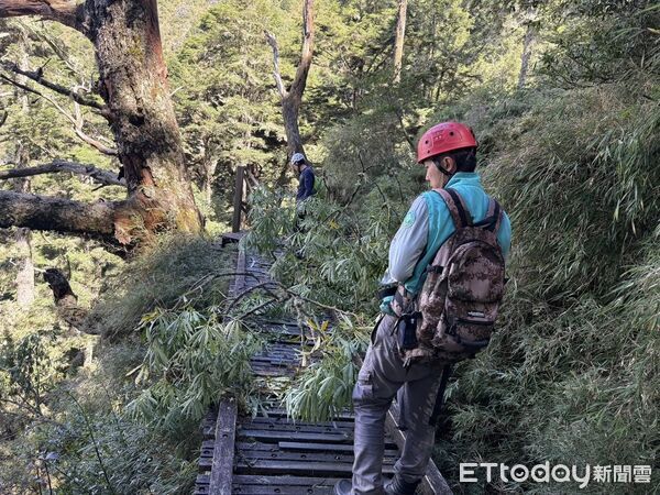 ▲楊柳颱風過境導致玉山線步道多處出現倒木，阻隔通行，約5.5公里處的溪溝棧橋更遭落石擊中毀損，將暫時持續封閉。（圖／記者高堂堯翻攝）