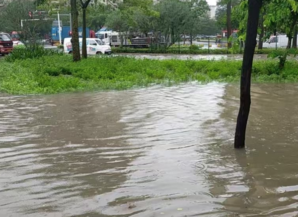 ▲▼楊柳快閃廣東。（圖／翻攝自微博）