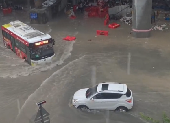 ▲▼楊柳快閃廣東。（圖／翻攝自微博）