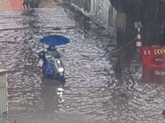 ▲▼楊柳快閃廣東。（圖／翻攝自微博）