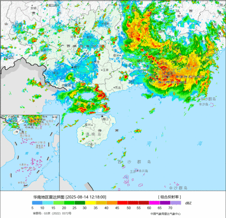 ▲▼楊柳快閃廣東。（圖／翻攝自微博）
