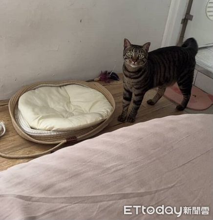 ▲。（圖／網友Threads@x_chi.7提供，請勿隨意翻拍，以免侵權。）