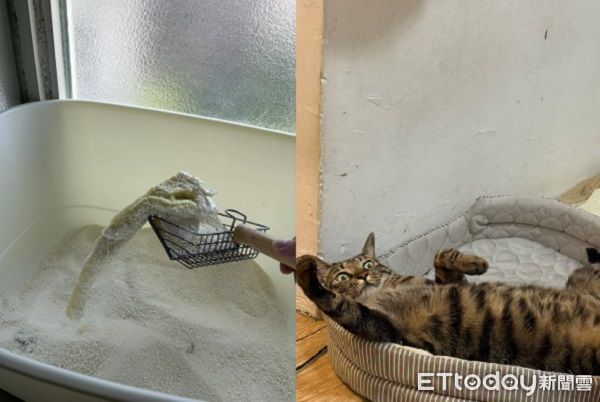 ▲。（圖／網友Threads@x_chi.7提供，請勿隨意翻拍，以免侵權。）