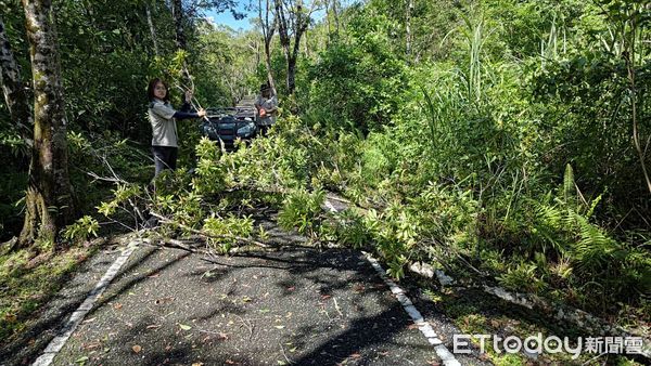 ▲大農大富平地森林園區災情。（圖／記者王兆麟翻攝，下同）
