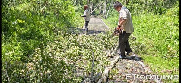 ▲大農大富平地森林園區災情。（圖／記者王兆麟翻攝，下同）