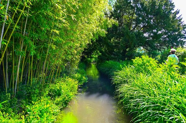 ▲▼莫內花園。（圖／部落客travel with leo授權提供）