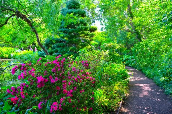 ▲▼莫內花園。（圖／部落客travel with leo授權提供）