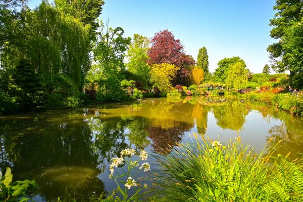 ▲▼莫內花園。（圖／部落客travel with leo授權提供）