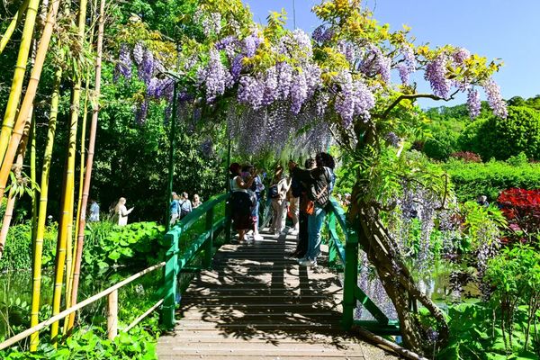 ▲▼莫內花園。（圖／部落客travel with leo授權提供）