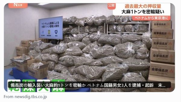 日本查獲超過1噸的走私乾燥大麻，黑市價格約10.6億元，創下日本違法藥物單次查扣總量的最高紀錄。（翻攝自X@tbsnewsdig）