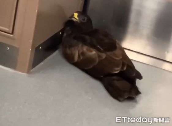 ▲。（圖／Threads@raymond19980307提供，請勿隨意翻拍，以免侵權。）