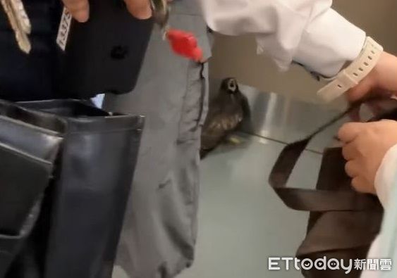 ▲。（圖／Threads@raymond19980307提供，請勿隨意翻拍，以免侵權。）