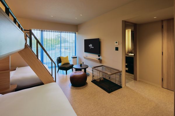 ▲▼edit x seven 富士御殿場飯店。（圖／fav hospitality group株式会社提供）