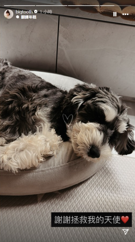 ▲▼大牙限動發文：謝謝拯救我的天使。（圖／翻攝自Facebook）