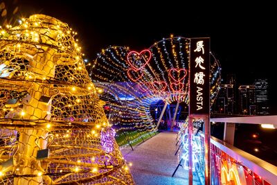 新北大都會公園國際閃耀　辰光橋光雕勇奪國際金獎