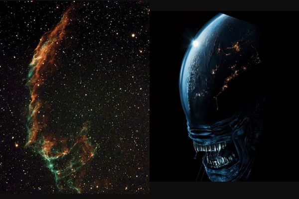 ▲▼天文攝影師拍星雲嚇到　影像竟神似《異形》經典怪物。（圖／翻攝自X）