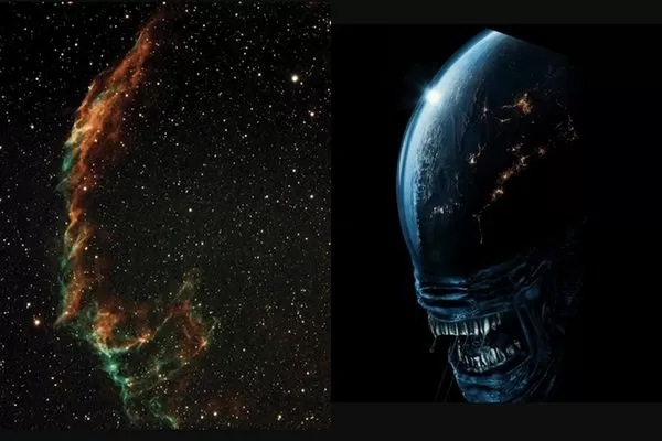 ▲▼天文攝影師拍星雲嚇到　影像竟神似《異形》經典怪物。（圖／翻攝自X）