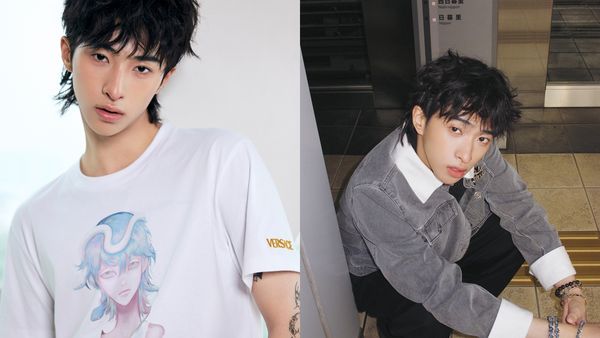 外送稿用　▲▼小哈利。（圖／翻攝自微博／En-Li恩利工作室）