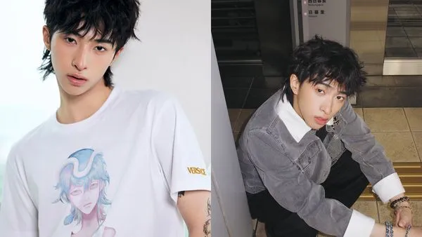 外送稿用　▲▼小哈利。（圖／翻攝自微博／En-Li恩利工作室）