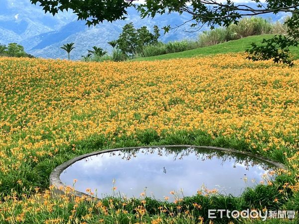 ▲▼清除倒落樹枝、泥沙及各類路面障礙物，確保上下山道路暢通無阻。（圖／富里鄉公所提供，下同）
