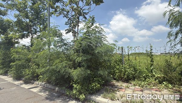 ▲▼  鹽行,永康           。（圖／記者張雅雲攝）