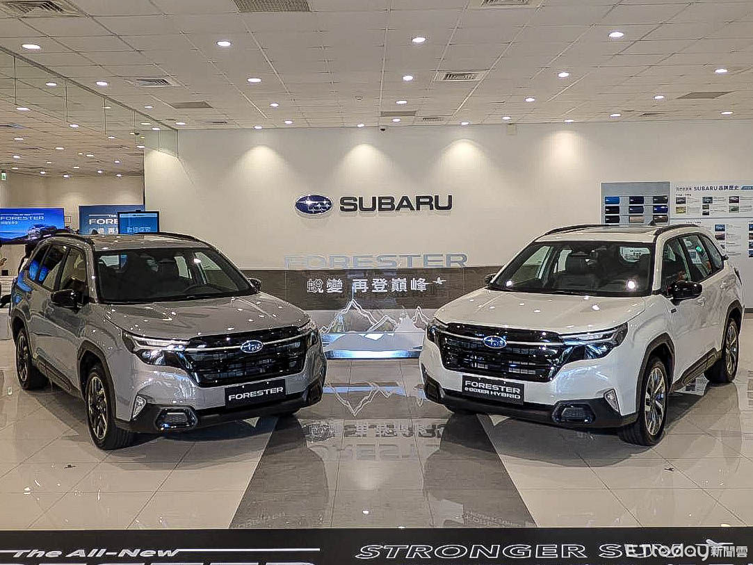 ▲森林人（圖／記者徐煜展攝）