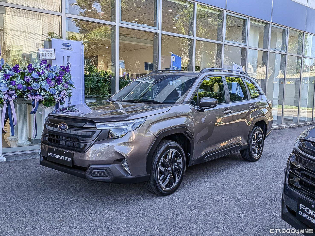 ▲森林人（圖／記者徐煜展攝）