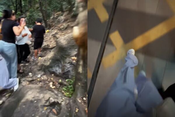 ▲▼正妹到黔靈山風景區遊玩、投餵獼猴，結果慘遭踹下山。（圖／翻攝抖音）