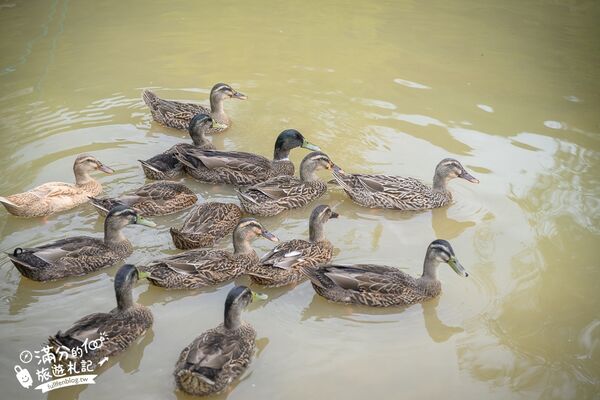 ▲▼亮山川。（圖／部落客滿分的旅遊札記授權提供）