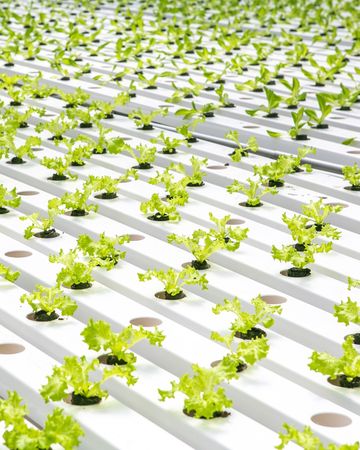 ▲朴寶劍代言沙拉品牌SALADY登台　首店落腳高雄「最快9／5試營運」。（圖／取自SALADY台灣IG）