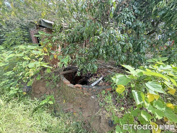 ▲▼陳姓婦人在巡視自家果園時，不慎踩到老舊破損的水井蓋，導致失足跌落井內。（圖／記者吳世龍翻攝）