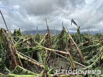 台東縣公告全品項救助 申請期限8/16~8/29日