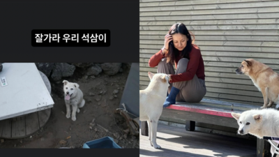 愛犬癌末肚子腫起來！李孝利證實癌逝慟：一路好走⋯　PO文惹淚崩