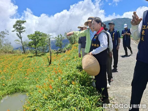 ▲▼花蓮縣長徐榛蔚率農業處同仁會同相關單位至富里六十石山現勘受災情形。（圖／花蓮縣政府提供，下同）