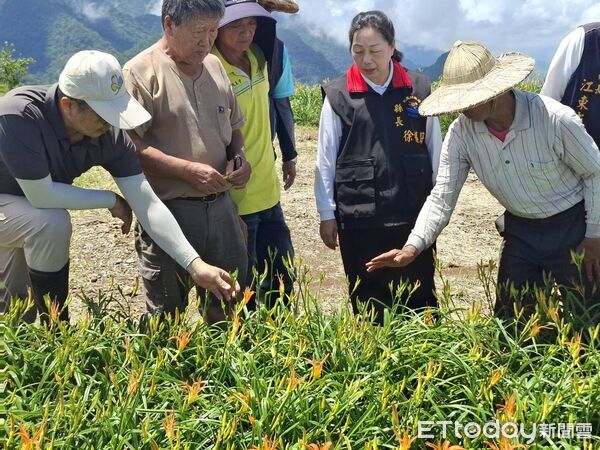▲▼花蓮縣長徐榛蔚率農業處同仁會同相關單位至富里六十石山現勘受災情形。（圖／花蓮縣政府提供，下同）