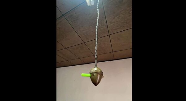 1張照片勾起「觸電」童年陰影　網友：通體甦醒、睡意全消