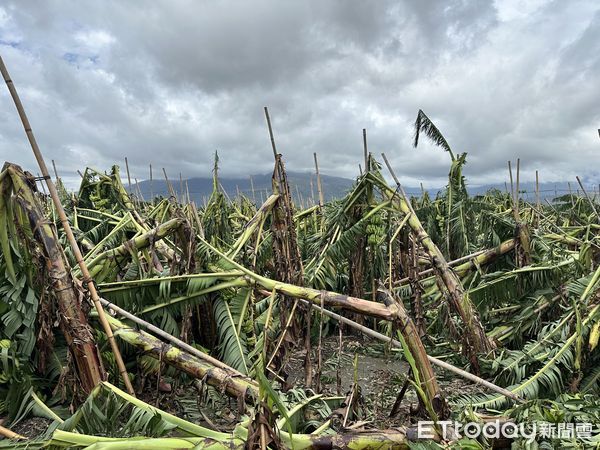 ▲▼             。（圖／記者楊鈞典攝）