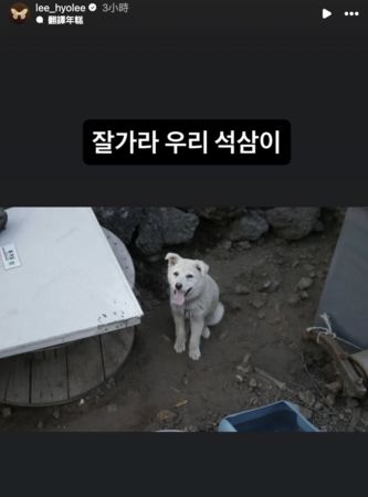 ▲▼ 愛犬癌末肚子腫起來！李孝利證實癌逝慟：一路好走⋯　PO文惹淚崩。（圖／翻攝自李孝利IG）