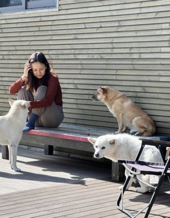 ▲▼ 愛犬癌末肚子腫起來！李孝利證實癌逝慟：一路好走⋯　PO文惹淚崩。（圖／翻攝自李孝利IG）