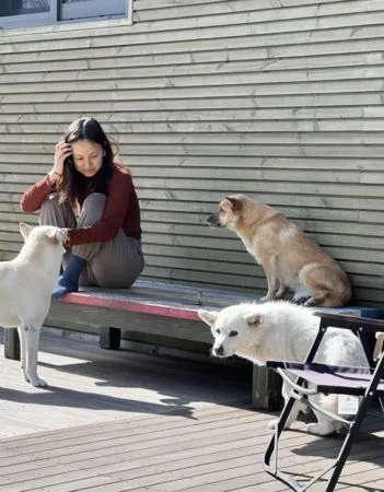 ▲▼ 愛犬癌末肚子腫起來！李孝利證實癌逝慟：一路好走⋯　PO文惹淚崩。（圖／翻攝自李孝利IG）