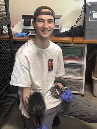 豪豬寶寶。（圖／翻攝自Austin Wildlife Rescue）